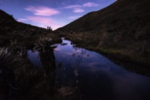 Lee más sobre el artículo La riqueza natural de Boyacá hecha fotografía