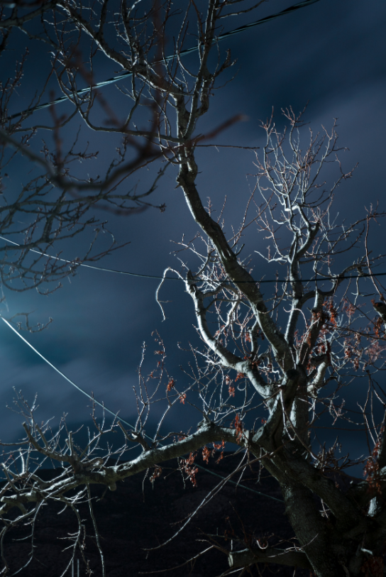 El Sony World Photography Awards 2020, presentó los ganadores de su premio anual, en este ocasión el fotógrafo uruguayo Pablo Albarenga, con el trabajo Seeds of Resistance, fue seleccionado con el máximo galardón a fotógrafo del año. Pablo Albarenga, fotógrafo latinoamericano gana el Sony World Photography Awards 2020