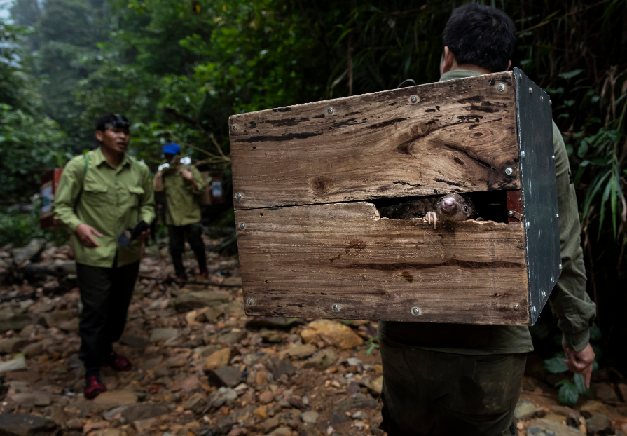 El Sony World Photography Awards 2020, presentó los ganadores de su premio anual, en este ocasión el fotógrafo uruguayo Pablo Albarenga, con el trabajo Seeds of Resistance, fue seleccionado con el máximo galardón a fotógrafo del año. Pablo Albarenga, fotógrafo latinoamericano gana el Sony World Photography Awards 2020