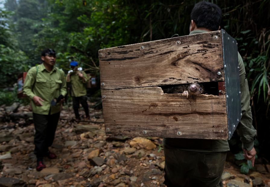 Pablo Albarenga, fotógrafo latinoamericano gana el Sony World Photography Awards 2020