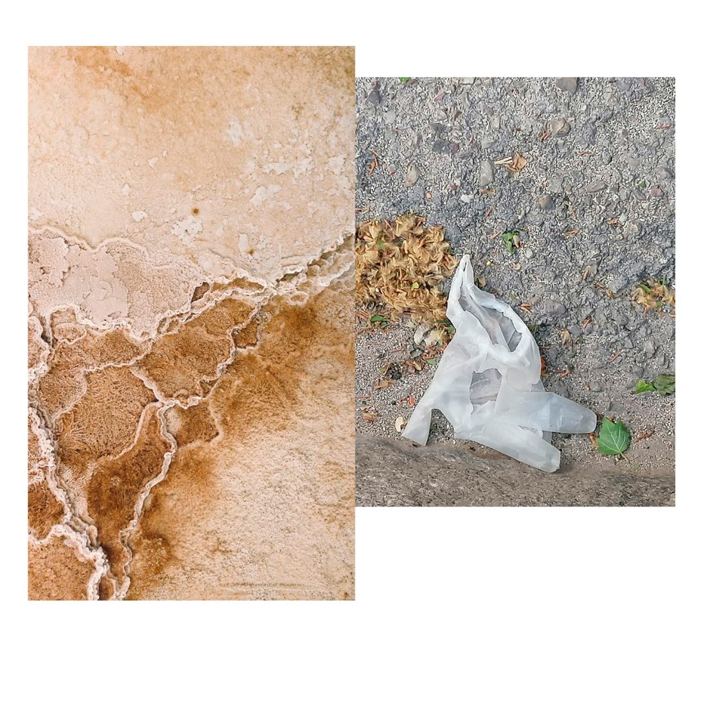 Poética de la Pandemia, serie de Victoria González García, una observación visual de los residuos sanitarios producto de la pandemia. Poética de la Pandemia, una serie de Victoria González García