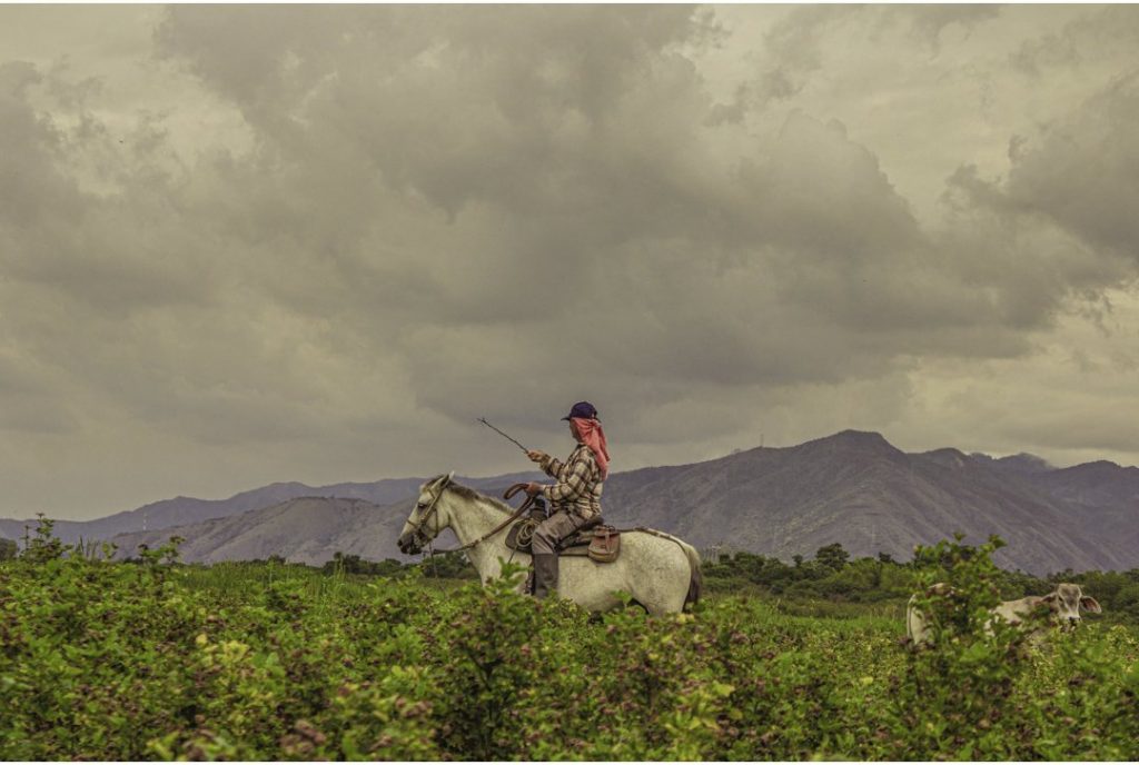 "Arraigos: El personaje rural" una serie de Daniela Gómez