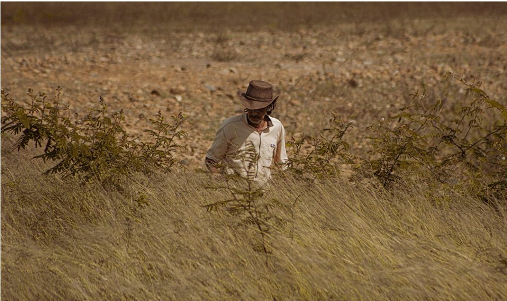 "Arraigos: El personaje rural" una serie de Daniela Gómez