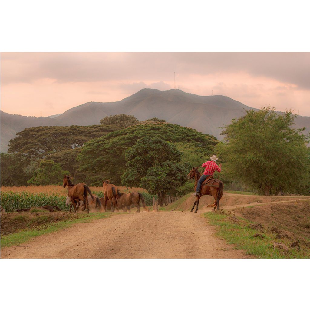 "Arraigos: El personaje rural" una serie de Daniela Gómez