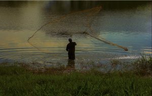 «Arraigos: El personaje rural» una serie de Daniela Gómez