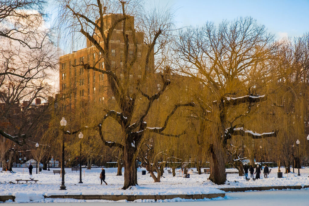  5 formas para mejorar tus habilidades en la fotografía en este año que inicia.